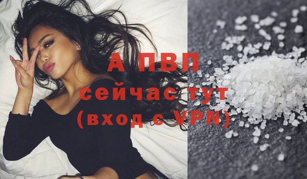 стаф Краснослободск
