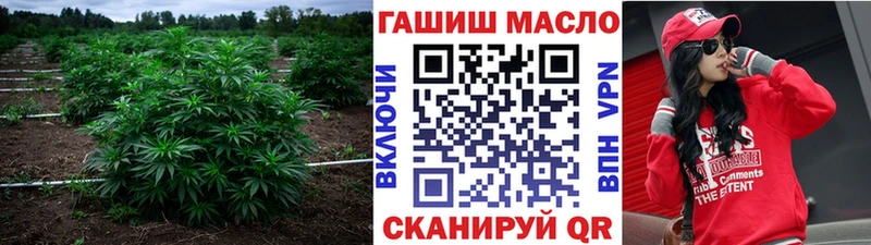 кракен зеркало  Шелехов  Дистиллят ТГК THC oil 