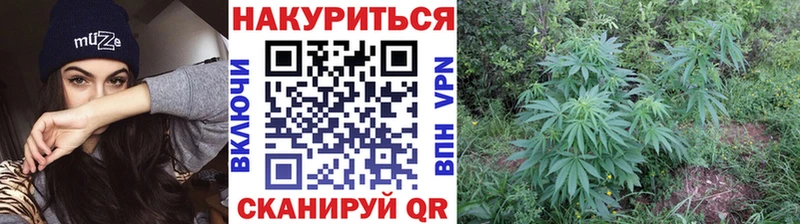 Марихуана сатива  OMG сайт  Шелехов 